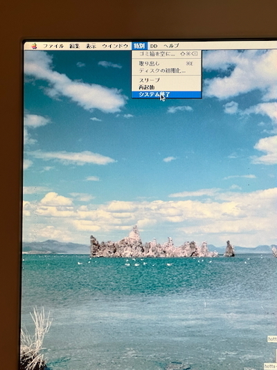 IMG_3315.jpeg