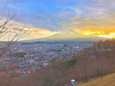 IMG_7138.jpeg